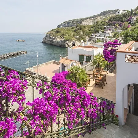 Amore - Ortensia Villa