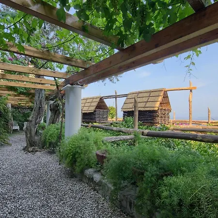Amore - Ortensia Villa